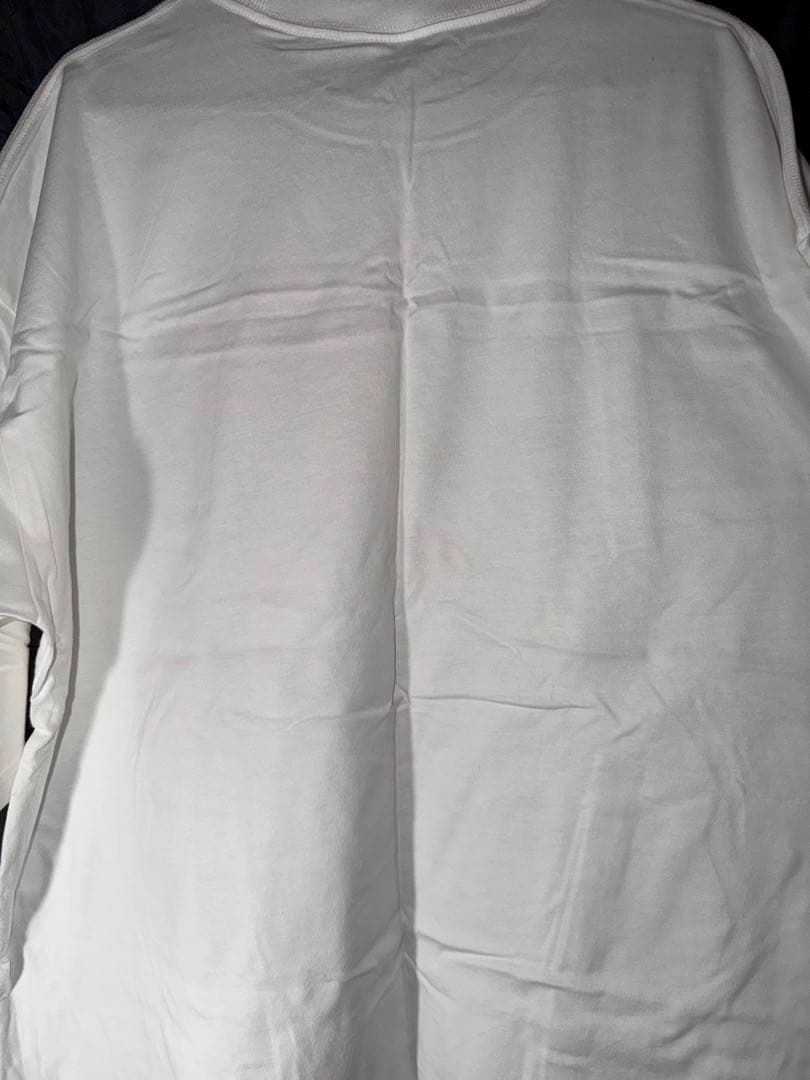 RADWIMPS FOREVER DAZE 15周年 限定ビックtシャツ