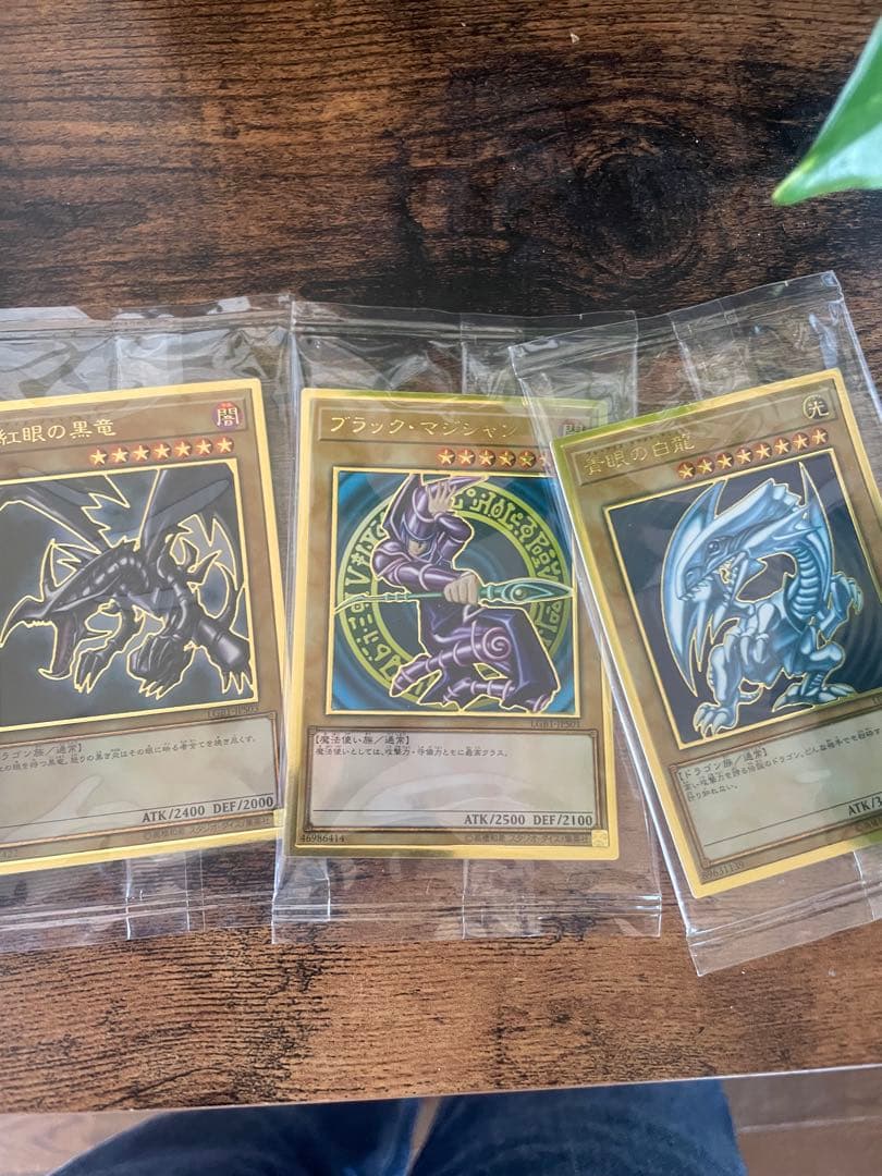 フ*！様 遊戯王引退セット