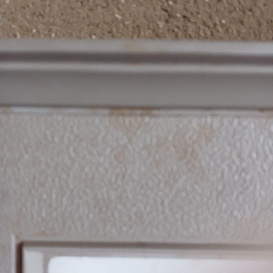 *  　バンビと　たわむれるウサギ  　*