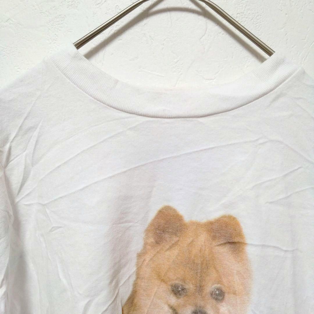 希少【М】ロザリア ポメラニアン Tシャツ モトマミ 犬T　Rosalía