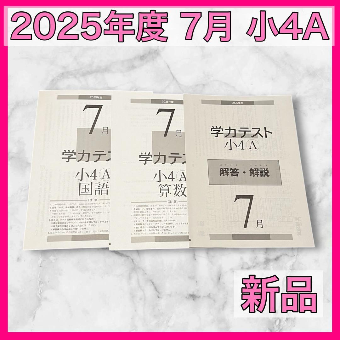育伸社 学力テスト 2025年 7月 小4 A 2科 解答解説 国 算 過去問