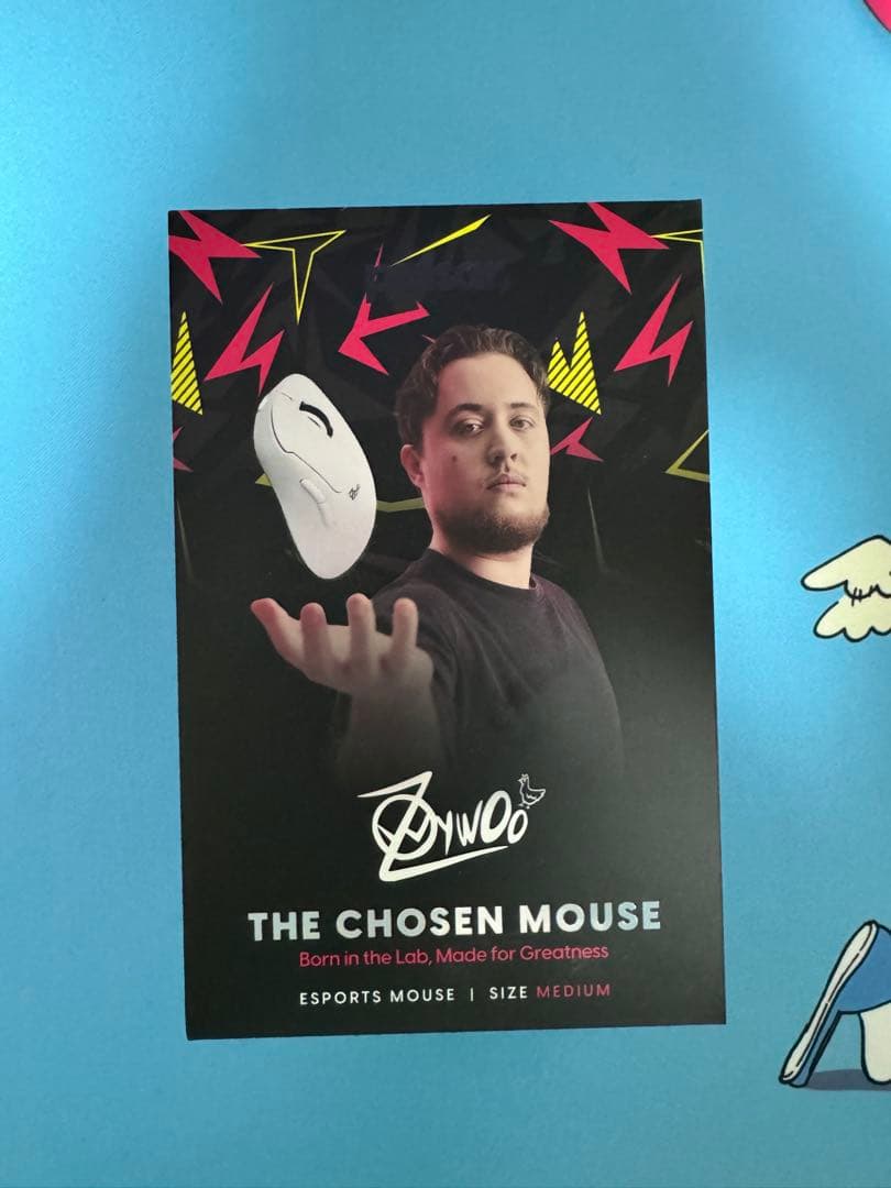 Pulsar Zywoo The Chosen Mouse medium - メルカリ