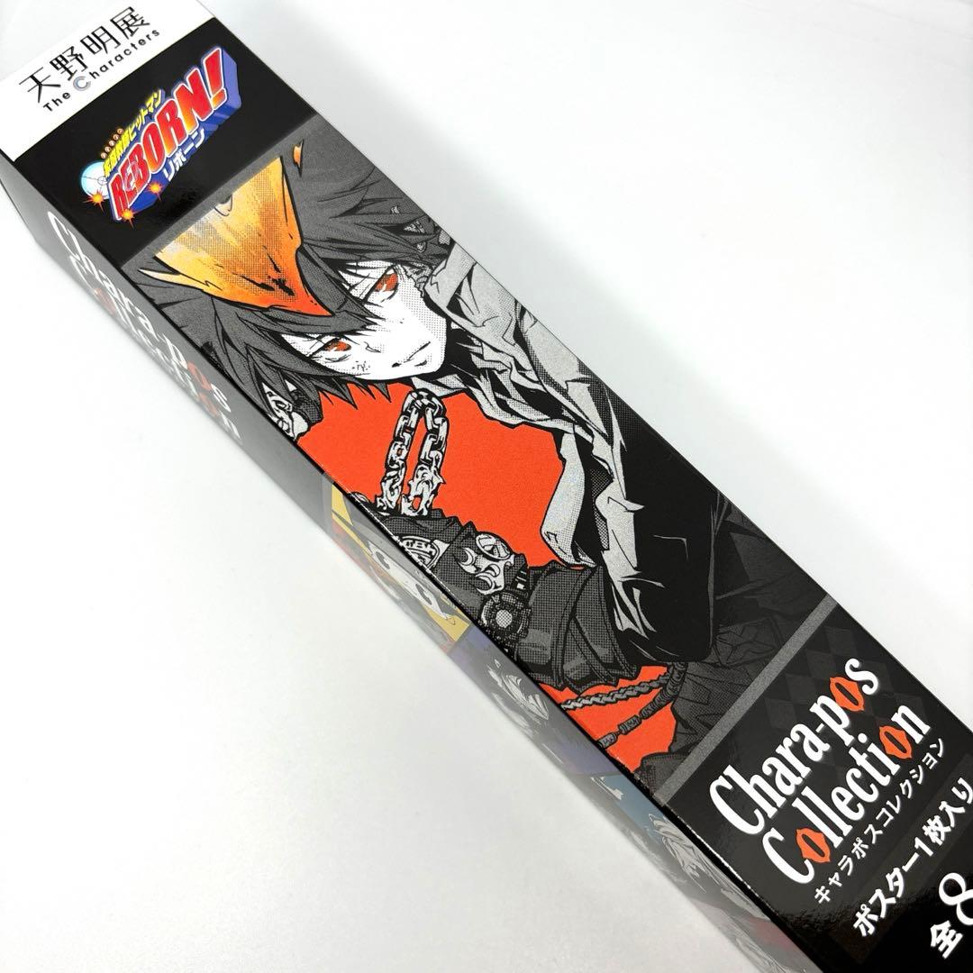天野明展 キャラポスコレクション ポスター REBORN リボーン XANXUS