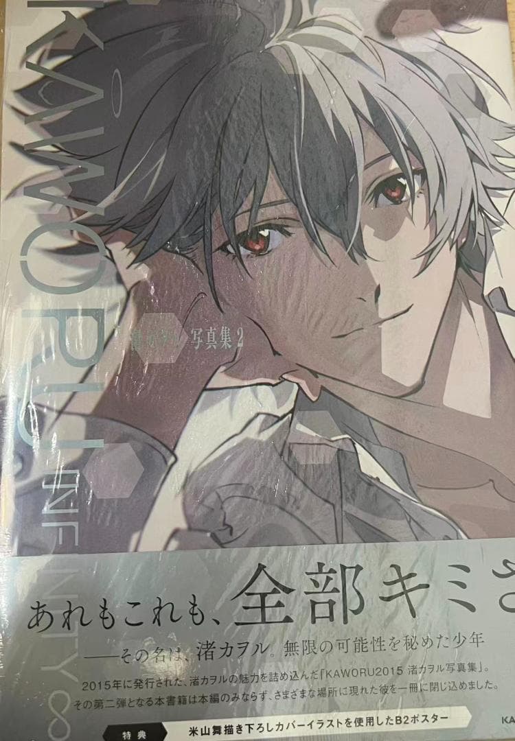 渚カヲル 写真集2 メロンブックス 特典 - メルカリ