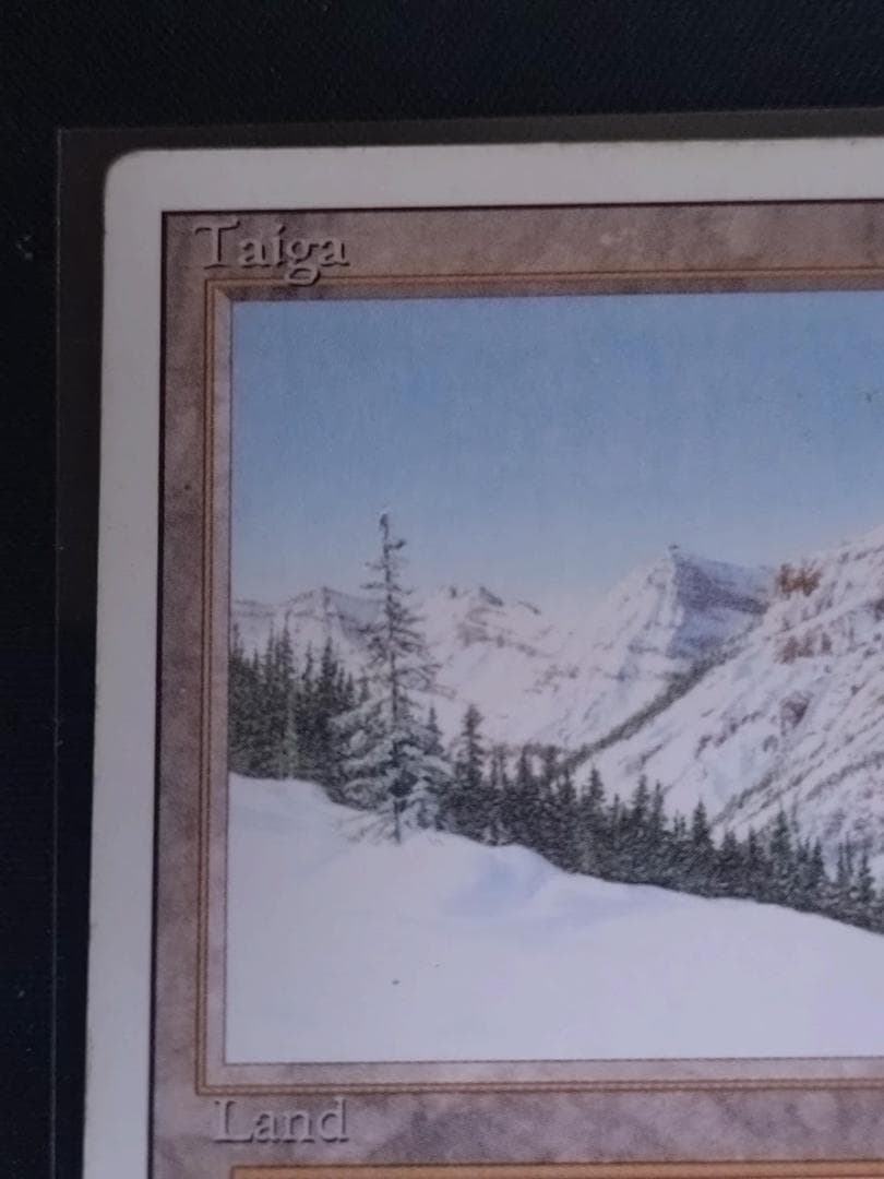 MTG Taiga リバイズド 3ED