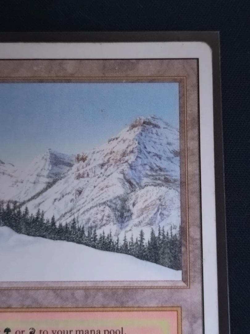 MTG Taiga リバイズド 3ED