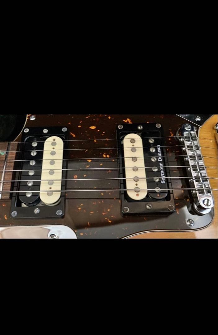 ぽーさん様　dragonfly jaguar666 最終出品　1/25まで