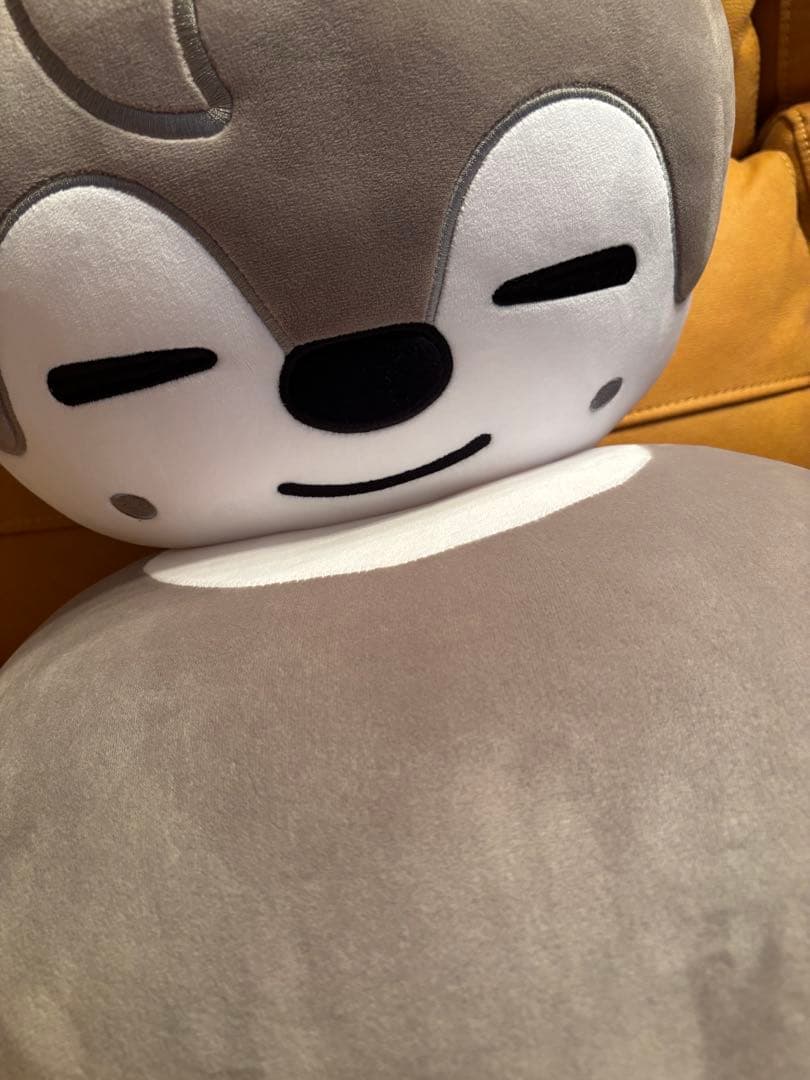 StrayKids SKZOO ウルフチャンクッション 2こ セット バンチャン