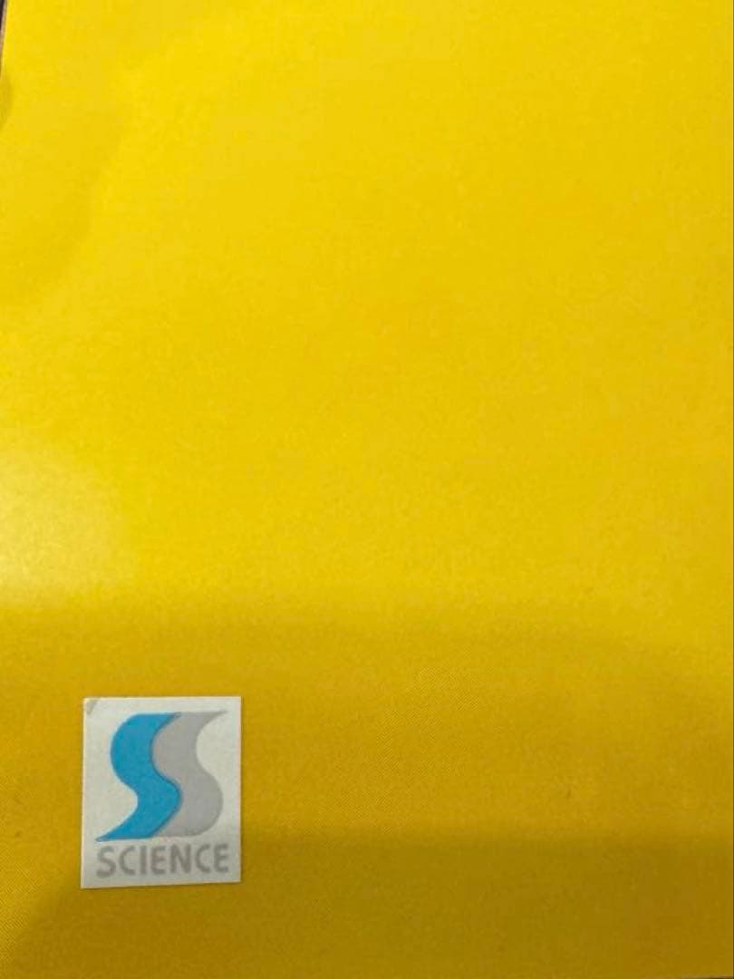 【激レア】【美品】森高千里 1991年カレンダー