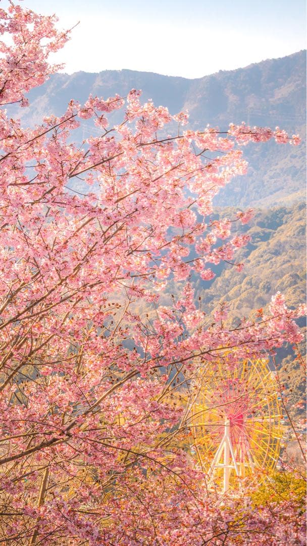 NIKKOR Z DX 50-250mm f/4.5-6.3 VR ズームレンズ