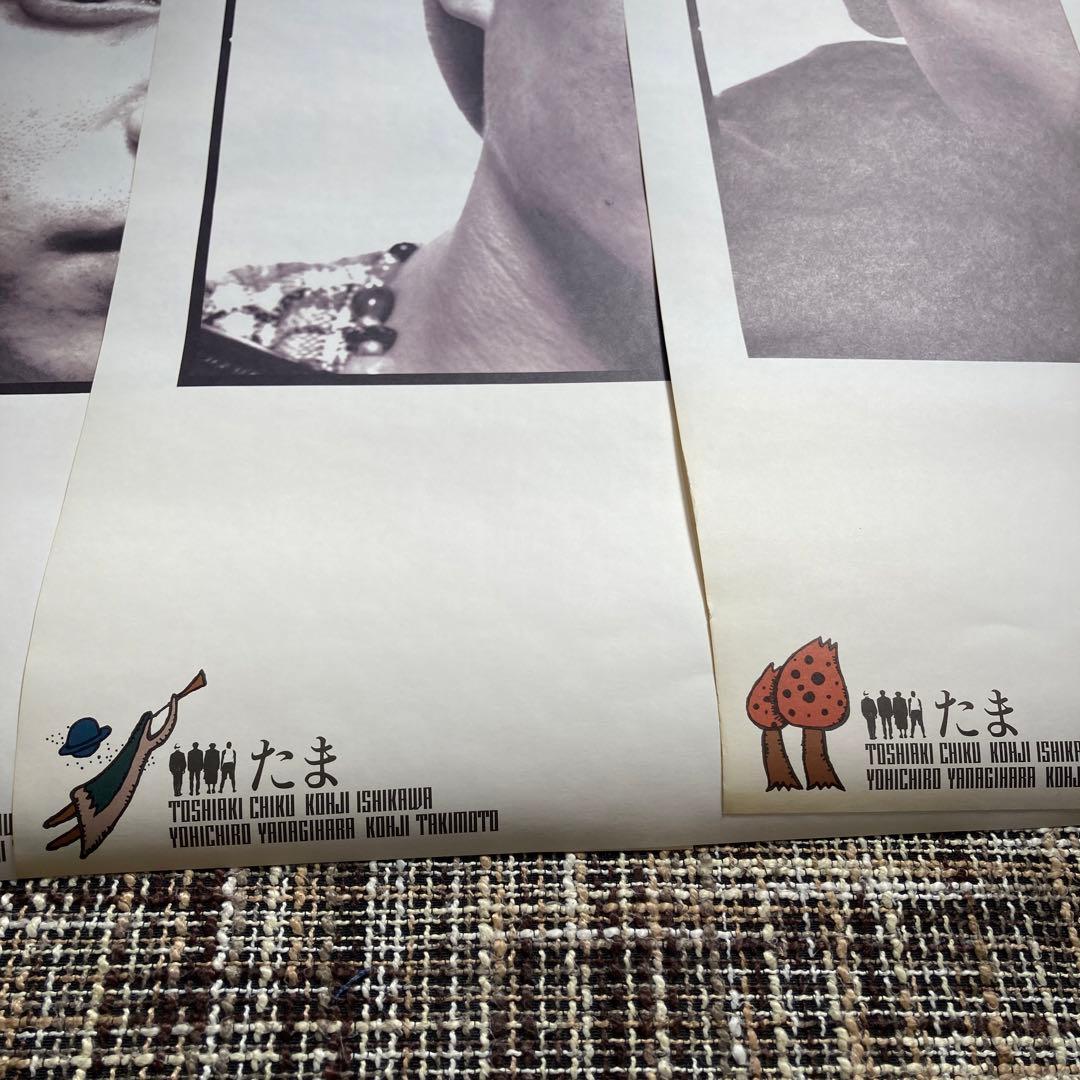 たま　ポスター　方向音痴　イカ天　知久寿焼　石川 浩司　滝本晃司　柳原幼一郎