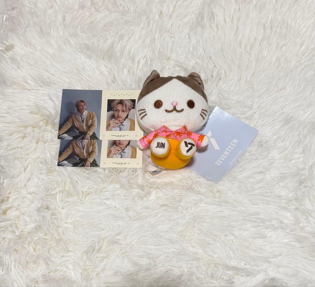 SEVENTEEN ジュン トレカ ネコ ミニぬいぐるみ まとめ売り - メルカリ