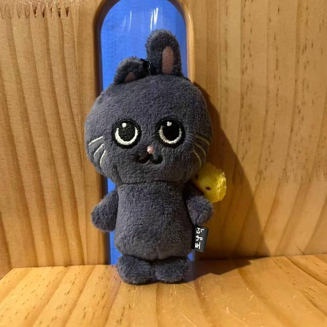 RIIZE ウォンビン ぬいぐるみ トニャンドク - メルカリ