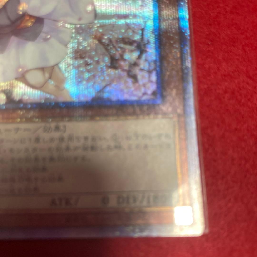 遊戯王OCG 灰流うらら 3枚セット　プリズマ