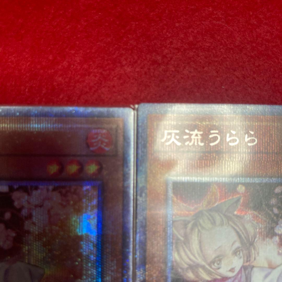 遊戯王OCG 灰流うらら 3枚セット　プリズマ