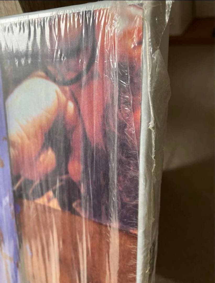 希少 ベスト盤 oasisl blur オアシス adidas oasis