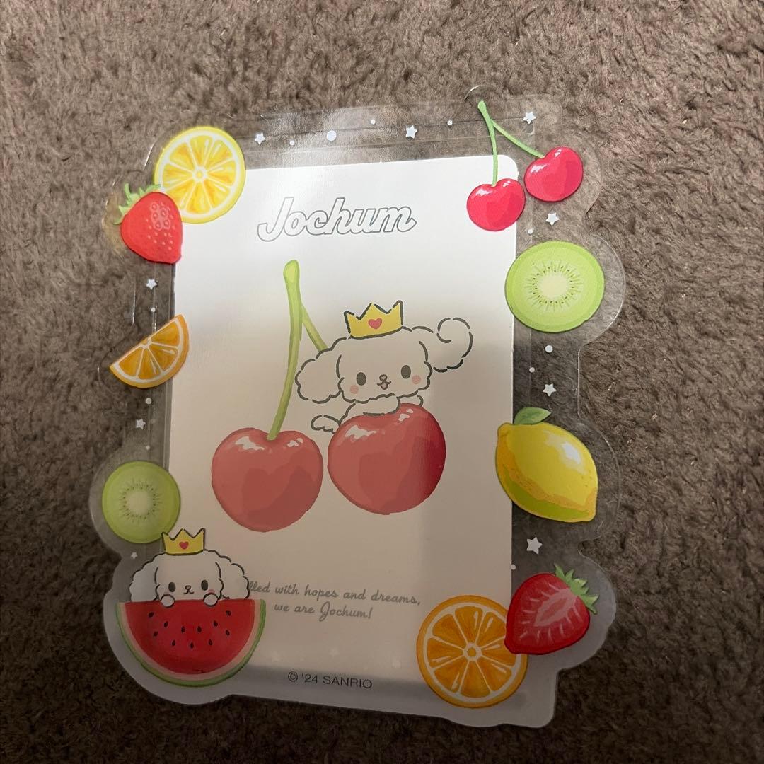 JOCHUM RURU トレカケース - メルカリ