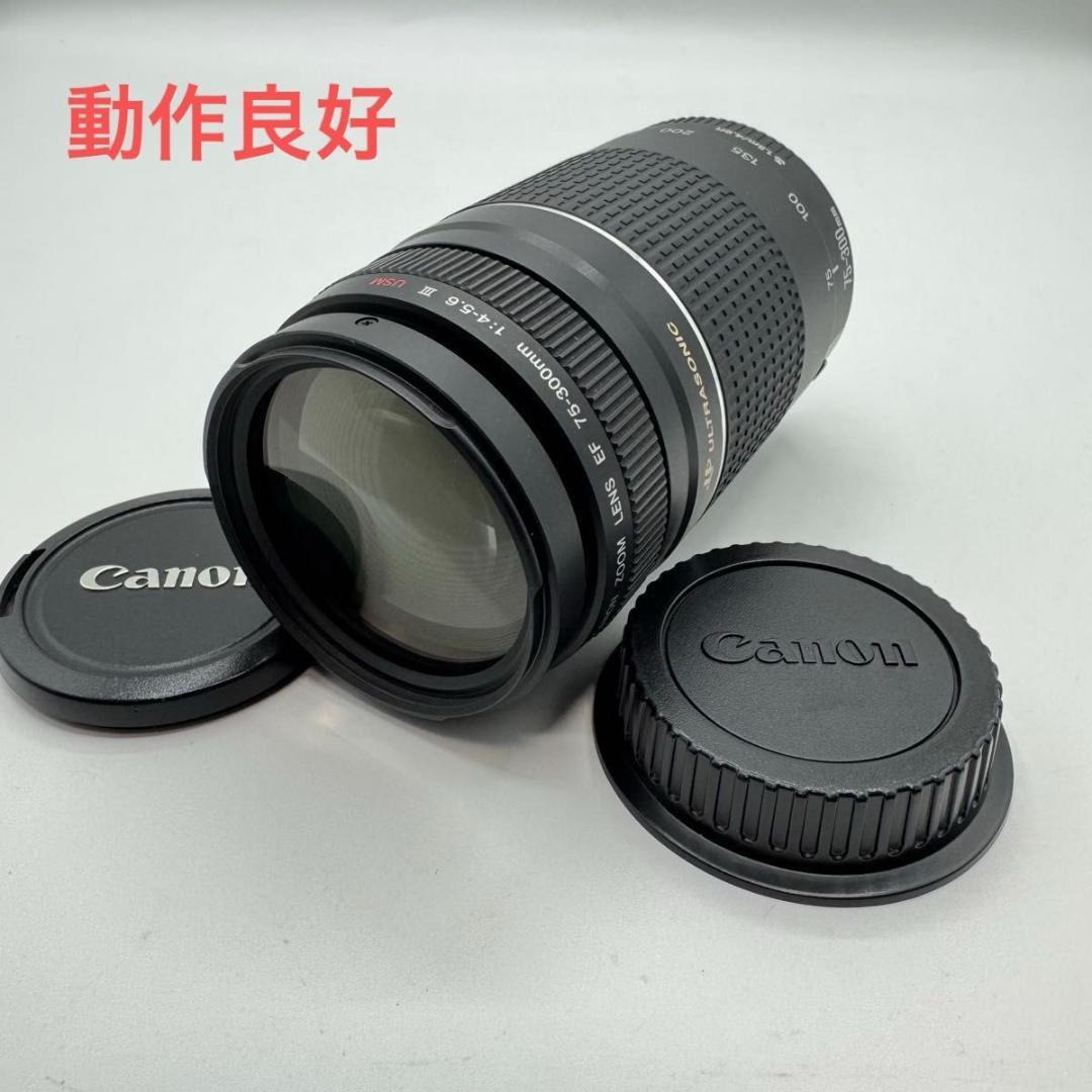 Canon EF 75 300mm 4 5.6 III USM ズームレンズ　② Amazon | Canon EF 75-300mm F4-5.6(3)USM | カメラ用交換レンズ 通販