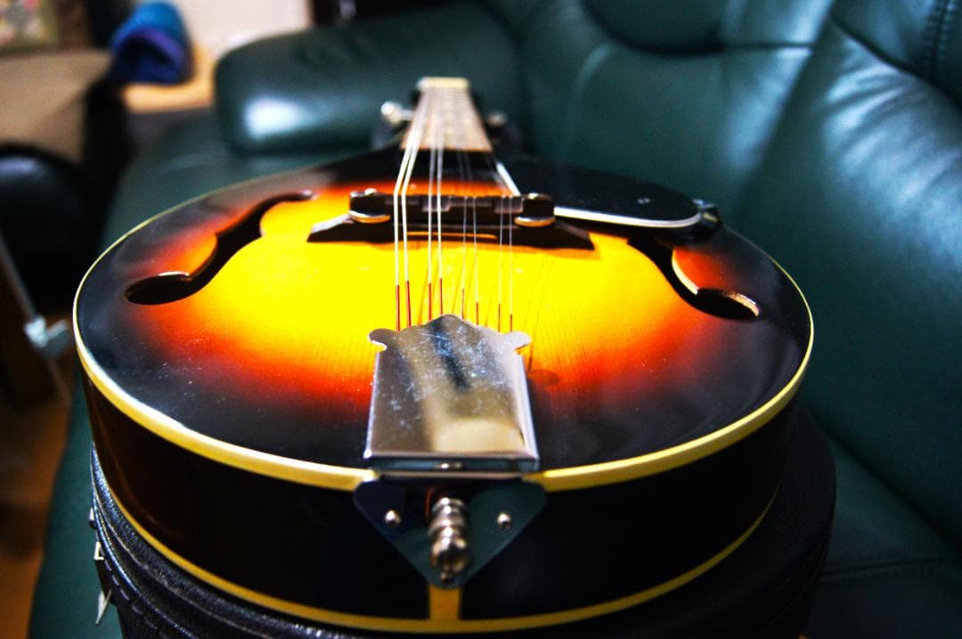 フラットマンドリン (8弦) ハードケース付き - メルカリ