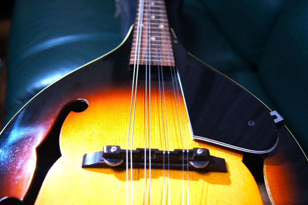 フラットマンドリン (8弦) ハードケース付き - メルカリ