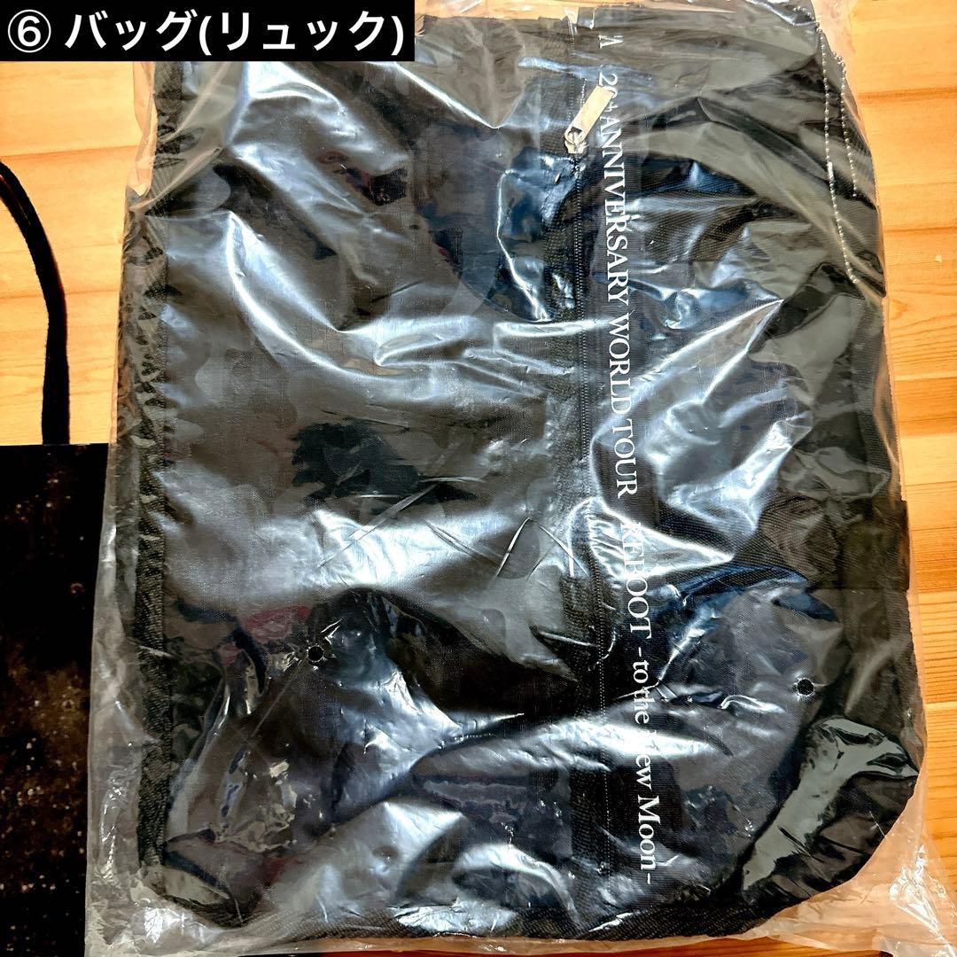 LUNA SEA サイン本　グッズセット　ロサンゼルス　3D ルナシー