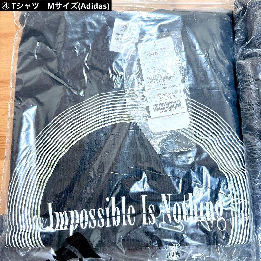 LUNA SEA サイン本　グッズセット　ロサンゼルス　3D ルナシー