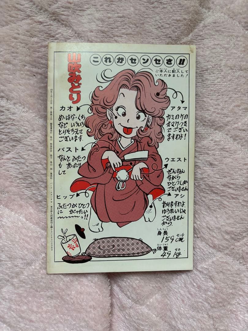 BIRD LAND PRESS 4 鳥山明　保存会　ファンクラブ会報