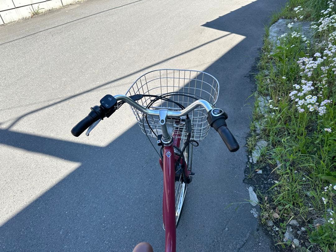 ブリヂストン電動アシスト自転車 7974(2020年製) BRIDGESTONE