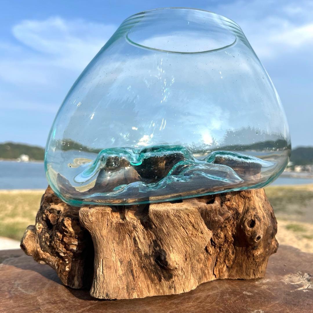 流木ガラスオブジェ特大F 花瓶 金魚鉢 テラリウム フラワーポット 水槽 アート 吹きガラスと天然木のオブジェB25 金魚鉢 メダカ 水槽 アクアリウム