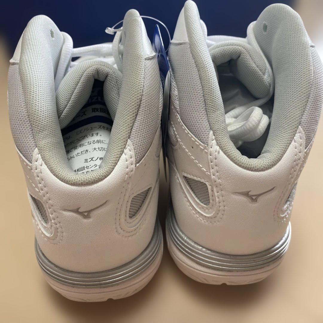 Mizuno ウエーブダイバース　LG3ホワイト 27.0cm