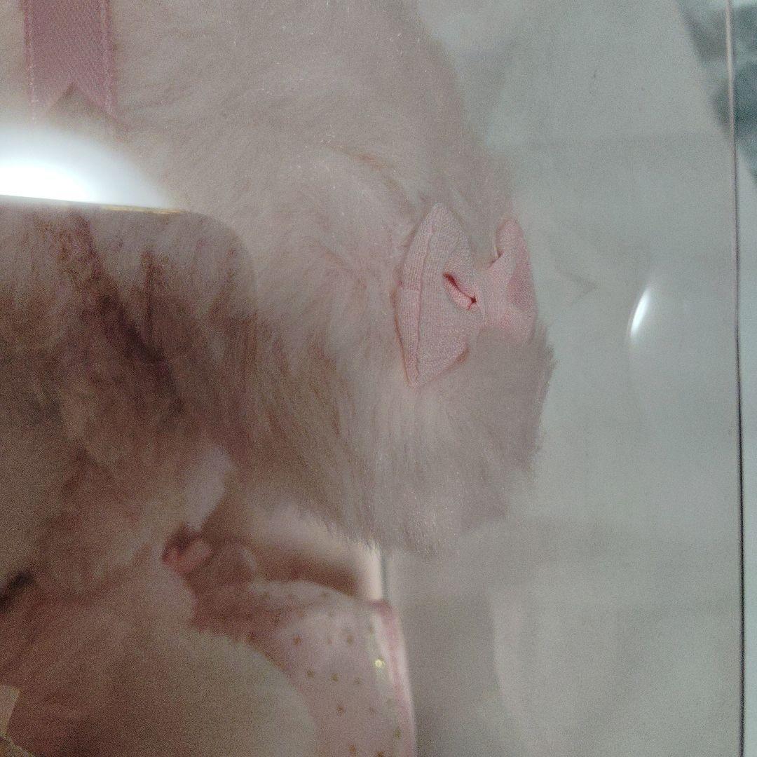 マイメロディ　バースデードール　バレエ