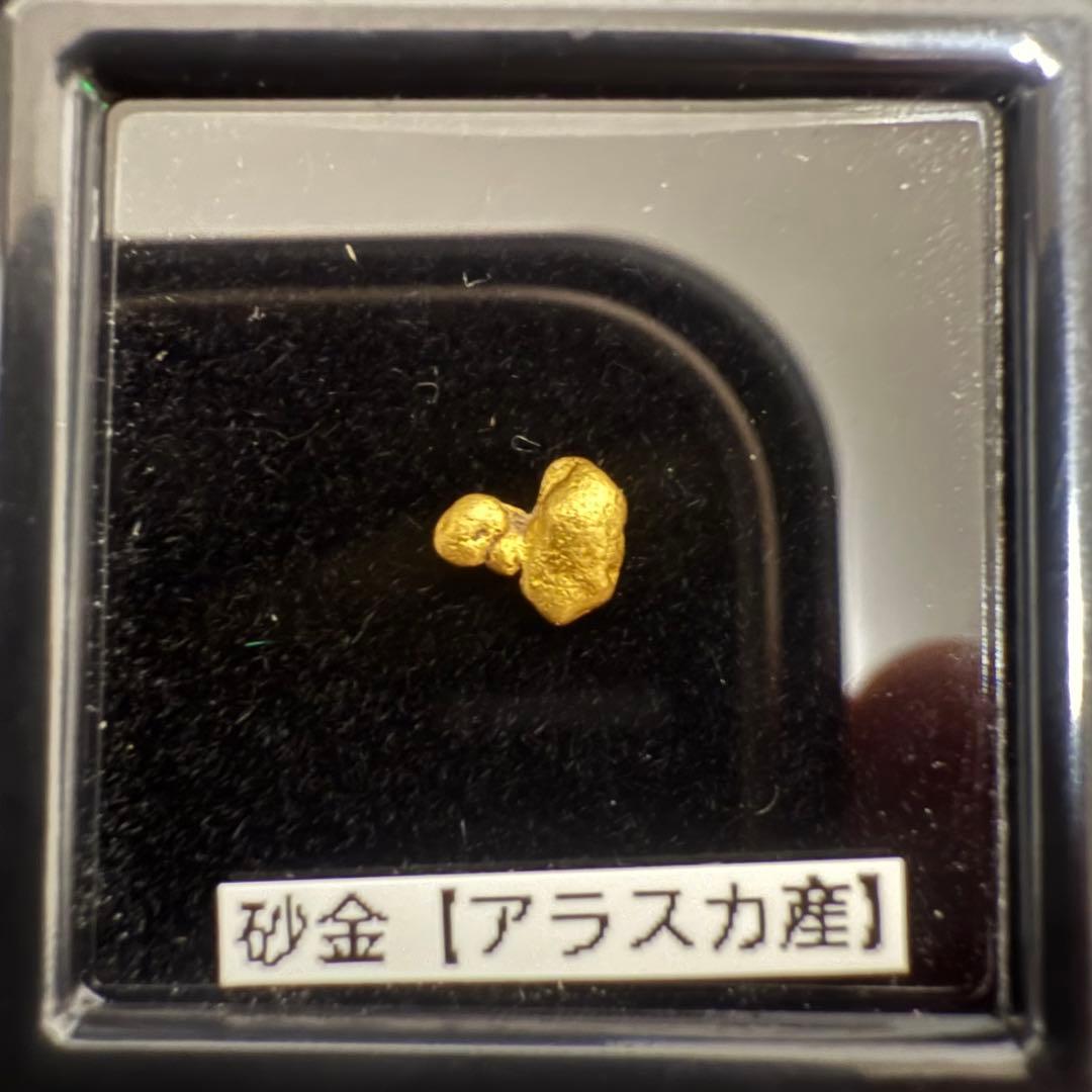小*7様 砂金 特大 天然物 【アラスカ産】#99鑑定済 0.22ｇ
