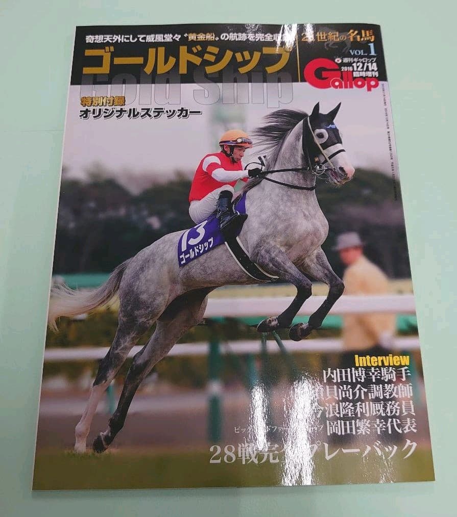 未開封】ゴールドシップ ぬいぐるみ&Gallop写真集&引退レース馬券 ウマ