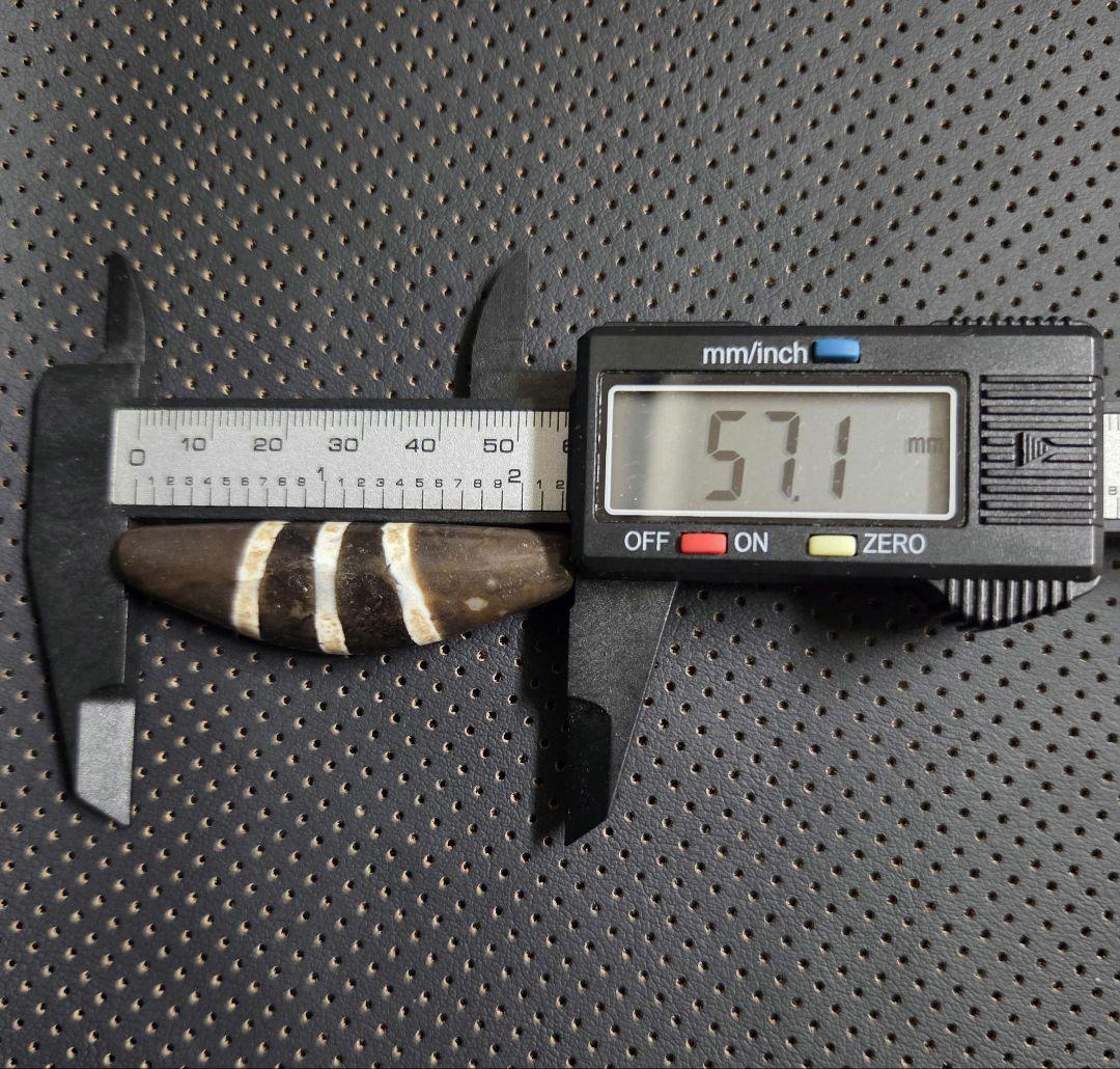 831　天珠　湾月　三線天珠　Chung　dzibeads！