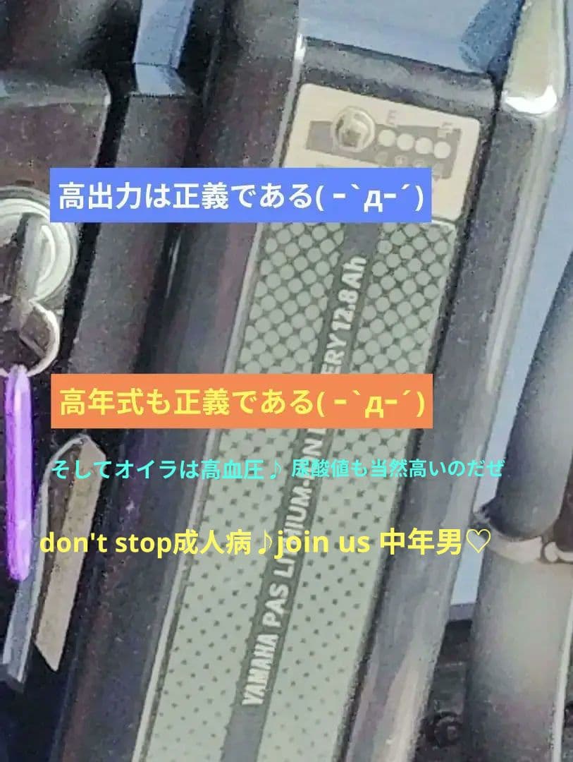 自転車本体 YAMAHA PAS withDX 12.8ah