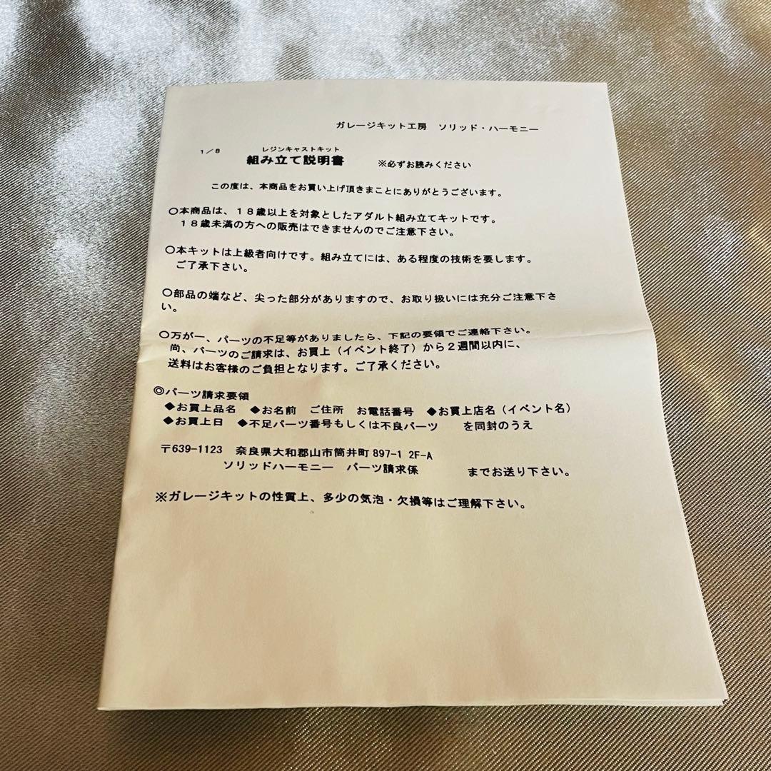 ソリッドハーモニー アスカ スケスケプラグギャル 1/8 ガレージキット 希少品