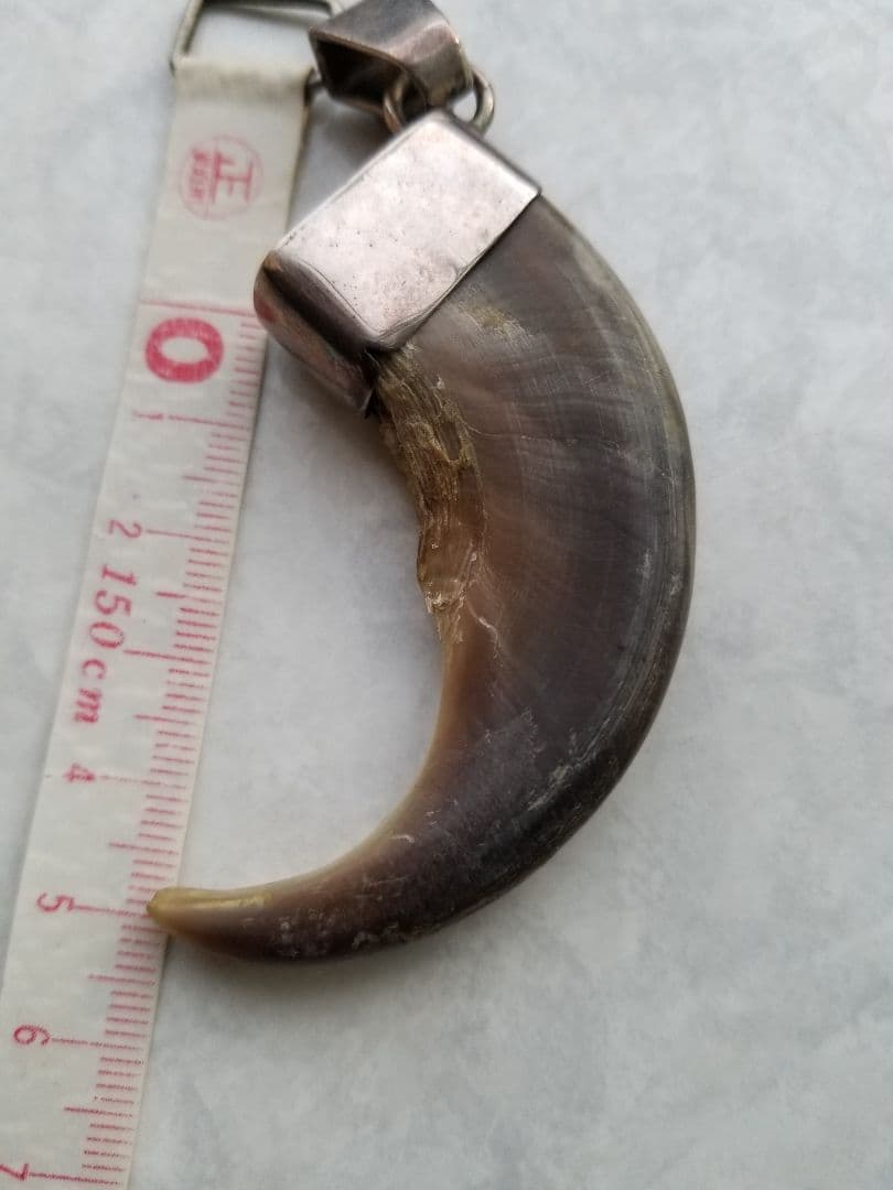 ☆激レア☆堀江純 グリーズリークロー ペンダントトップ インディアン