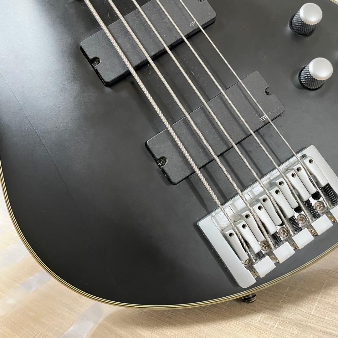 シェクター 5弦ベース DAMIEN PLATINUM-5 ブラック - メルカリ