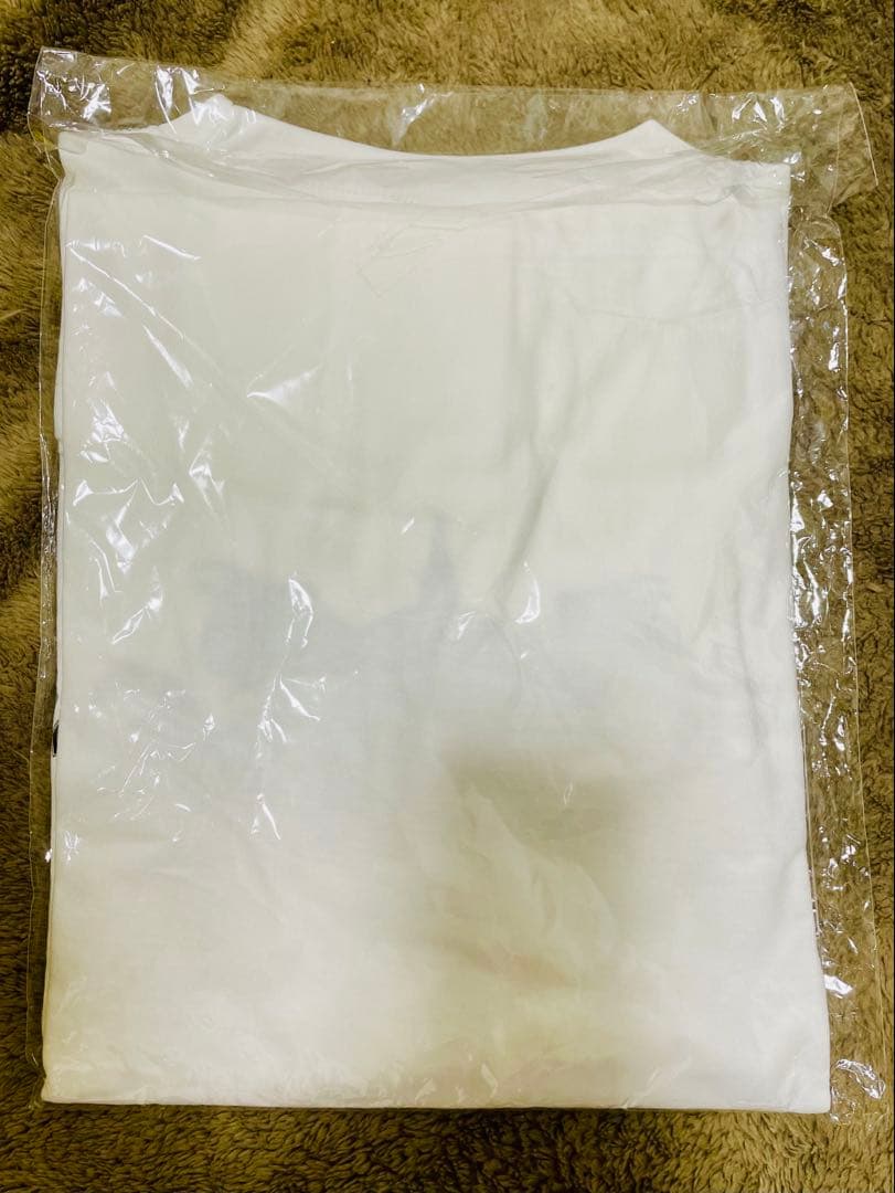 ELLEGARDEN（エルレガーデン）/HANNYA（般若）Tシャツ Lサイズ