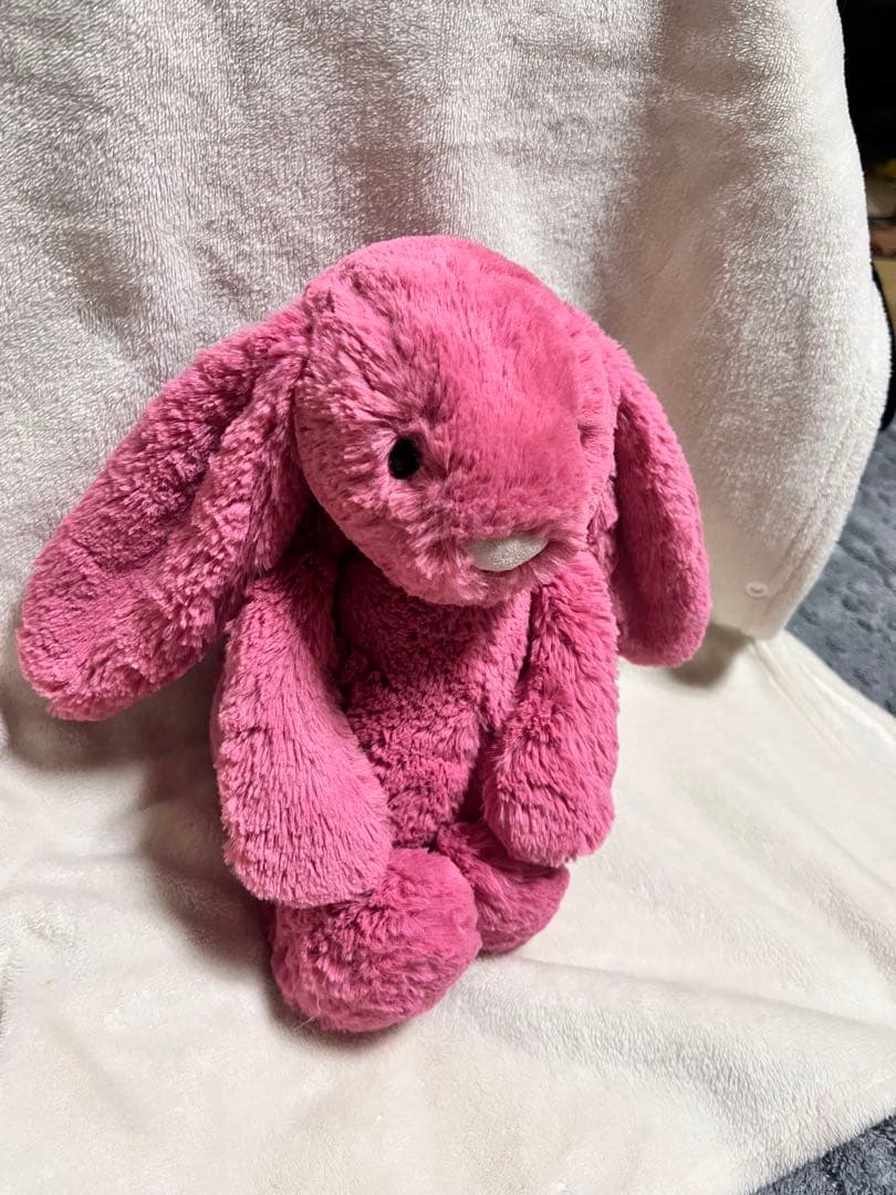  Medium Bashful Cerise Bunny 廃盤