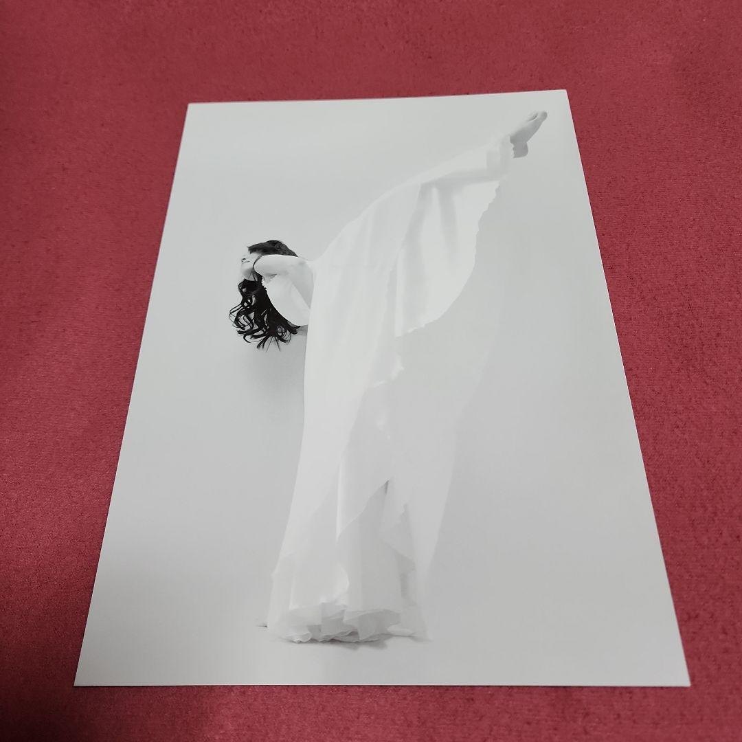 【SEIKO MATSUDA PHOTO】