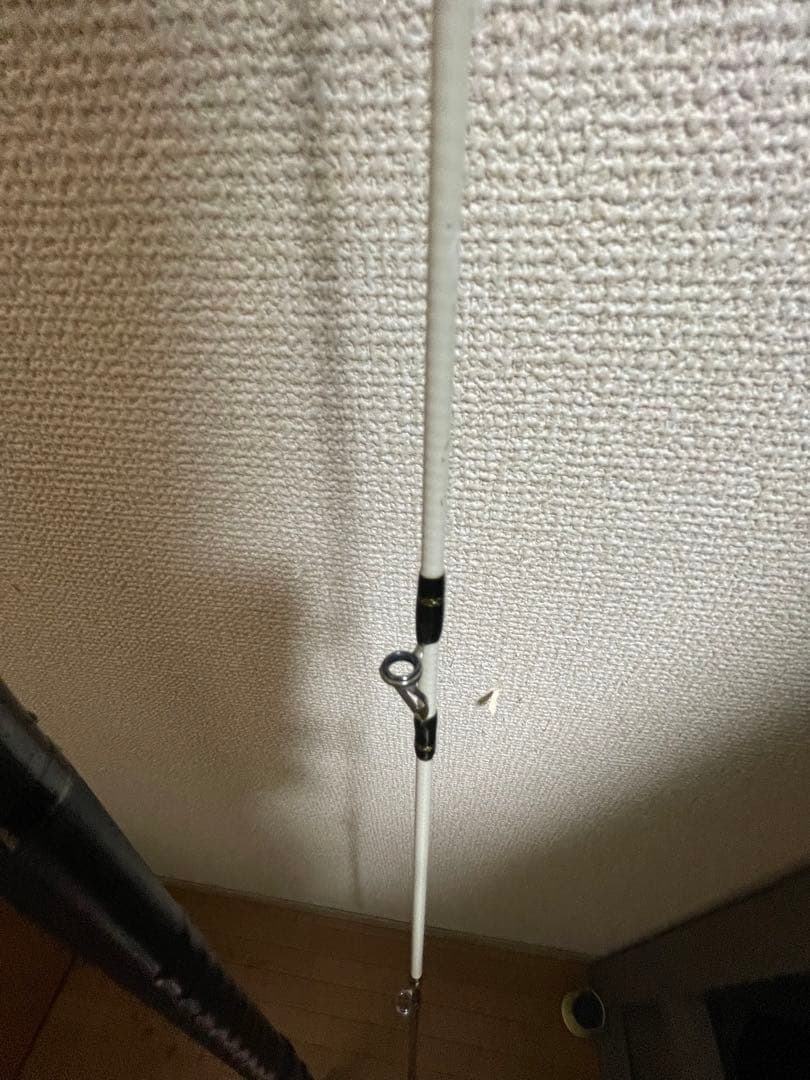 プロフィールド石鯛 540MH スーパーロイヤル 石鯛 クエ 底物 磯