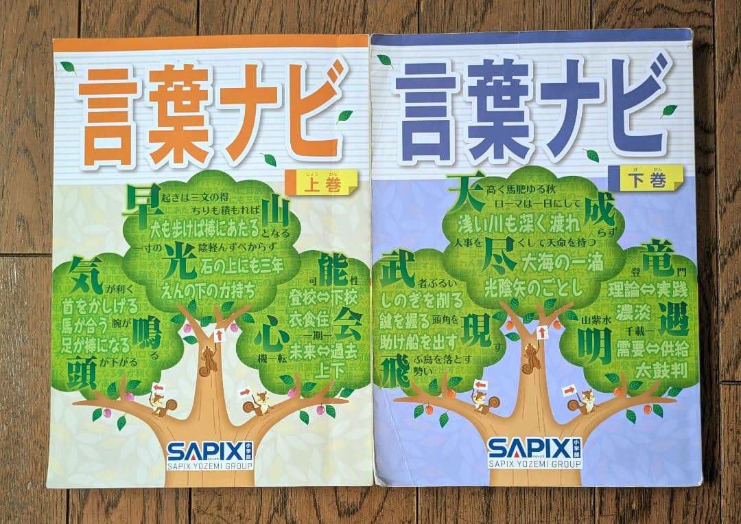 サピックス 言葉ナビ 上巻・下巻 セット 中学受験 - メルカリ