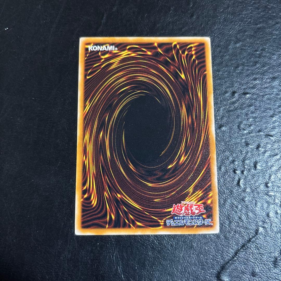 あ*る様 遊戯王　ブラックデーモンズドラゴン　レリーフ　アルティメット