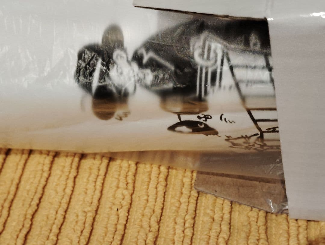 CR CrazyRaccoon Mondo 　モンド バースデー　タンブラー