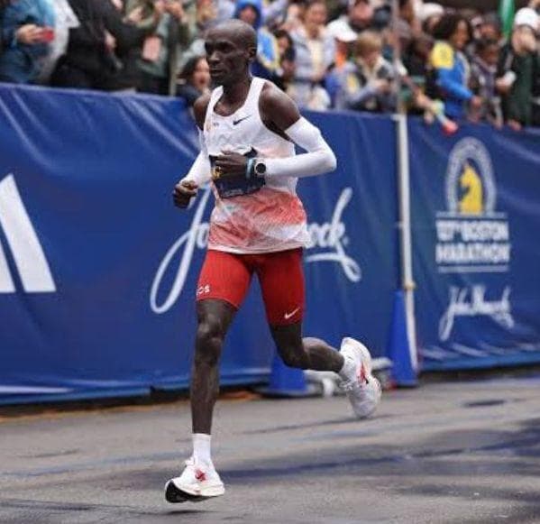 新品 25.5cm アルファフライネクスト% 2 エリウド・キプチョゲ - メルカリ