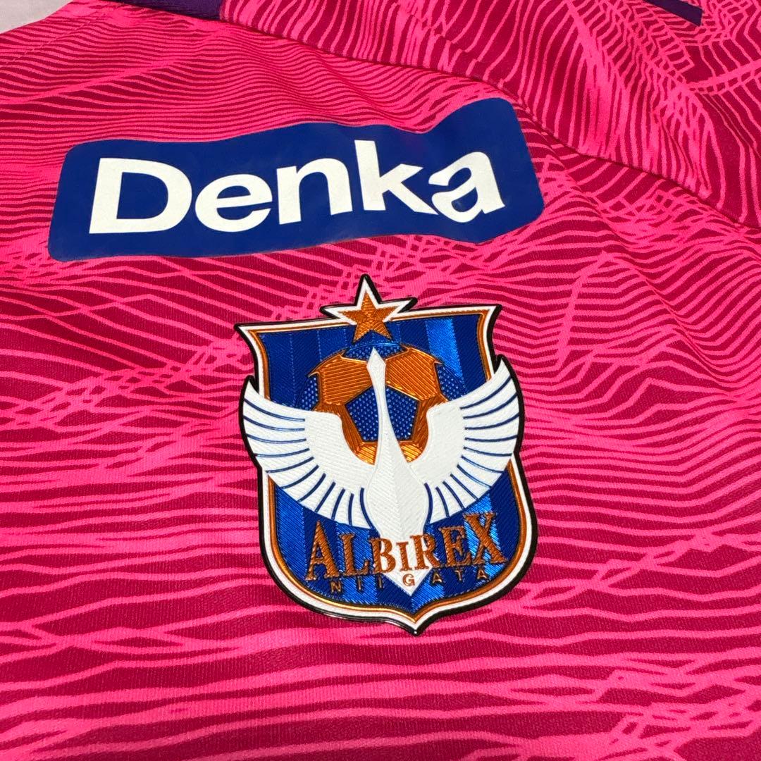 adidas(アディダス)Jリーグ アルビレックス新潟2021 GKユニ 3rd