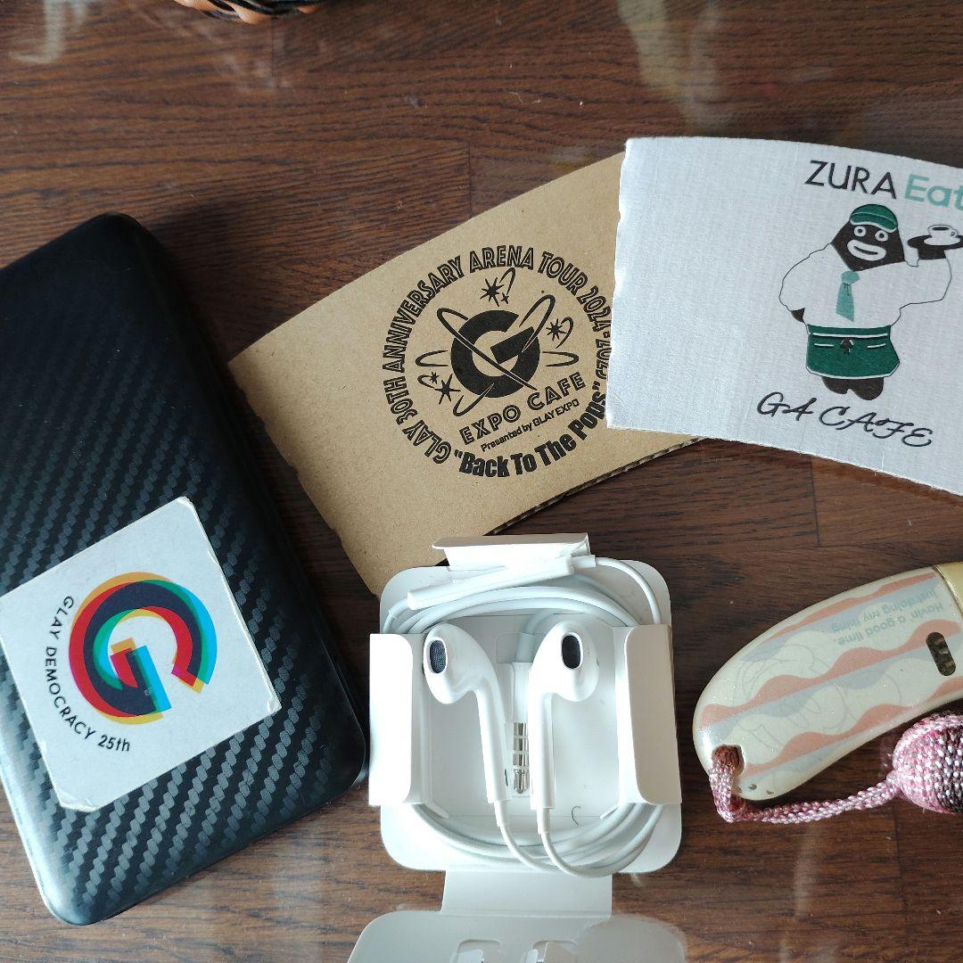 ★レアグッズおまけ付☆GLAY　JIRO 　ピック HOTEL GLAY2020