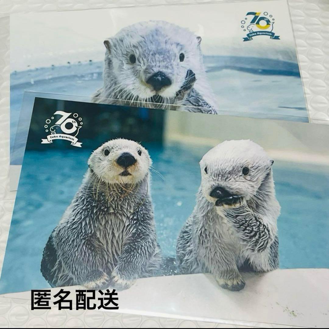 鳥羽水族館 70周年 ラッコ キラ メイ ポストカード 2種 - メルカリ