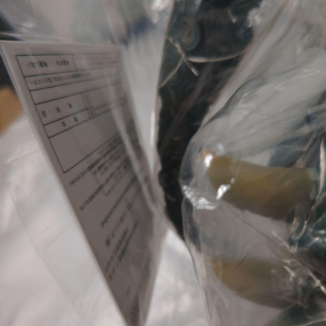 コスモリキッド　大怪獣シリーズ　エクスプラス　少年リック限定　ウルトラマンタロウ